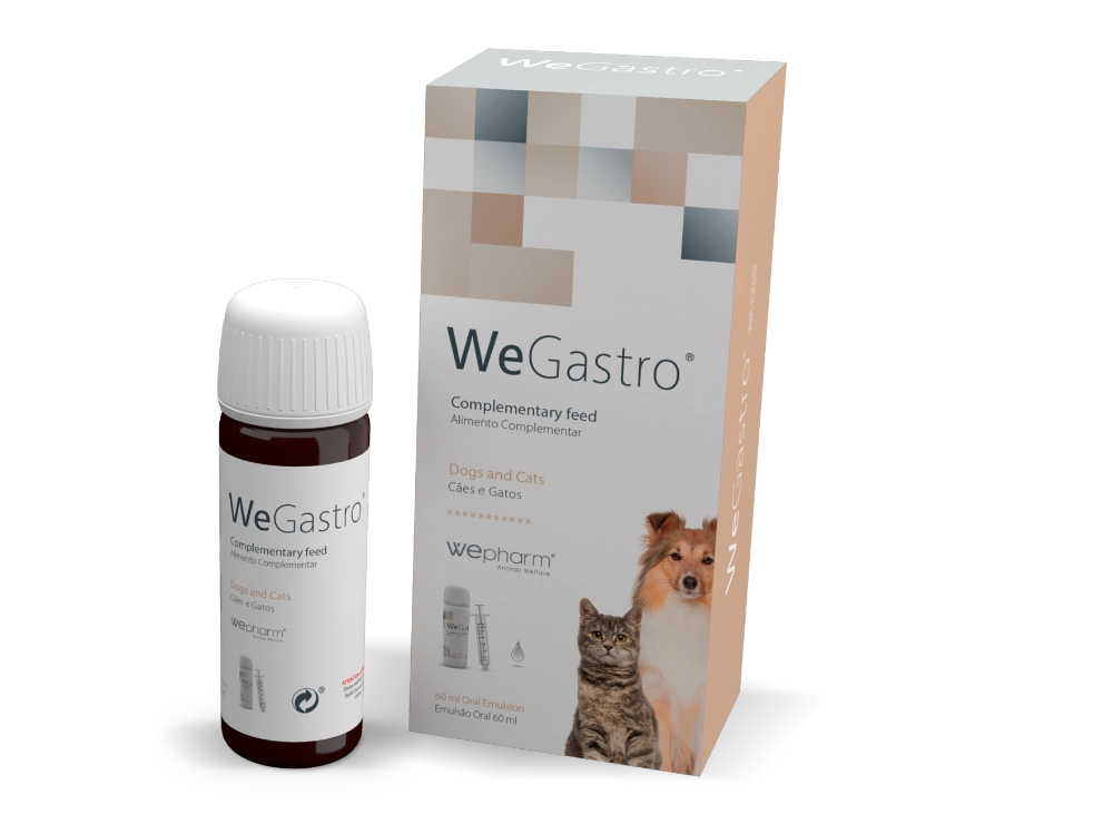 WeGastro 60ML