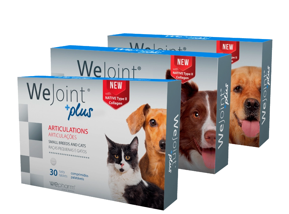 WeJoint Plus Raças Médias 30CP