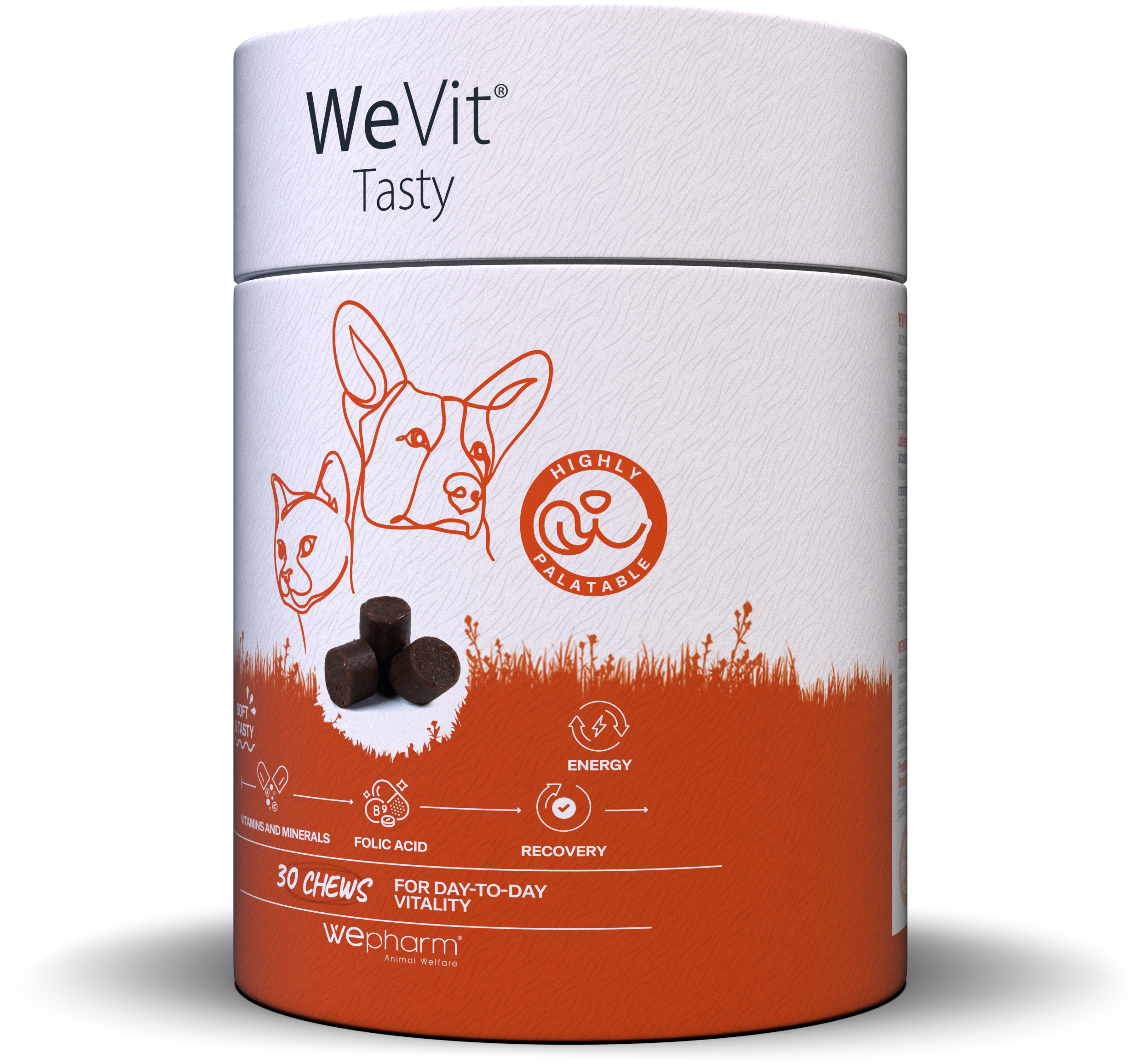 WeVit Tasty 30 Chews